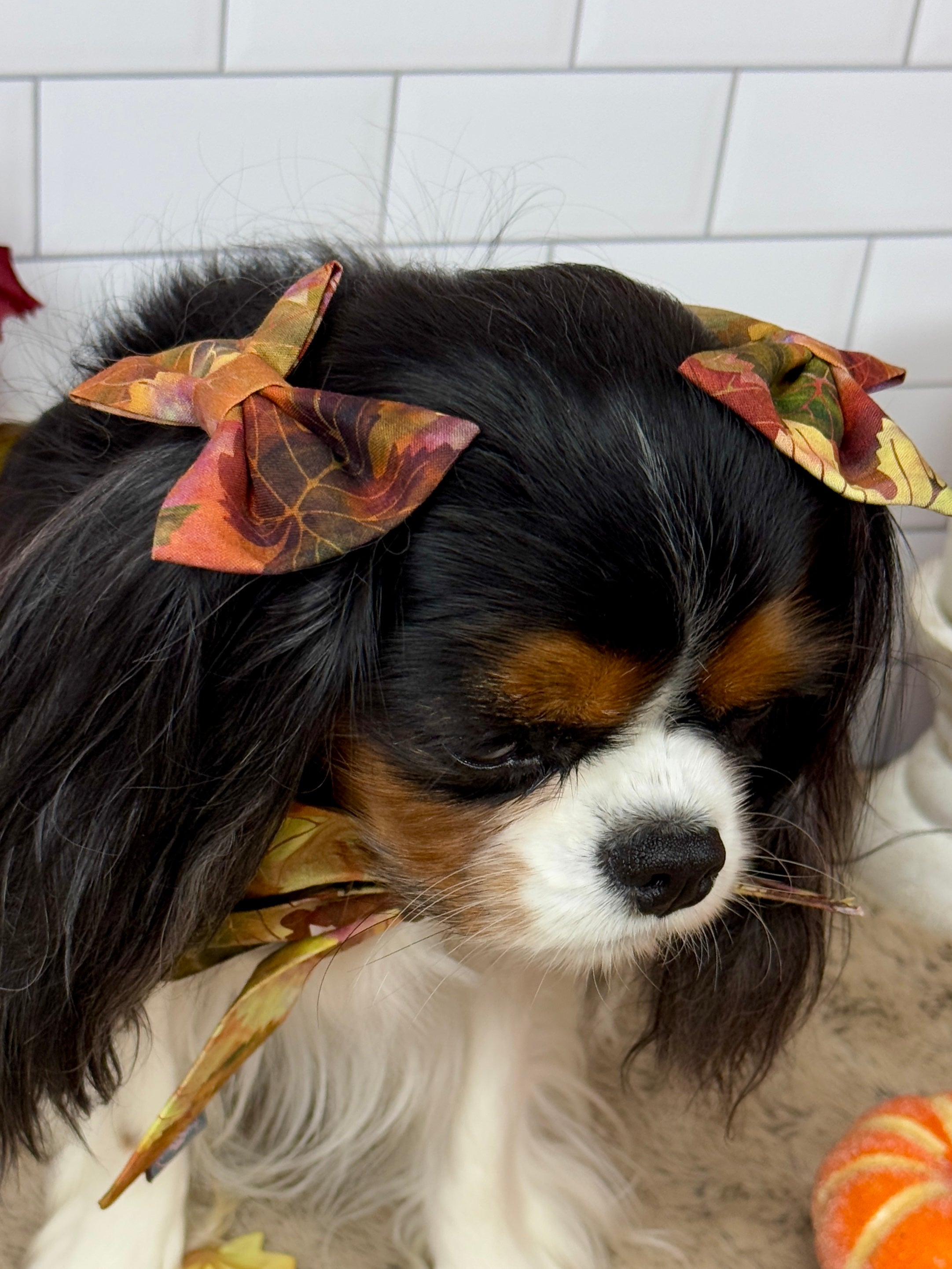 Accessories are a Must Hair Bows - Falling for Fall