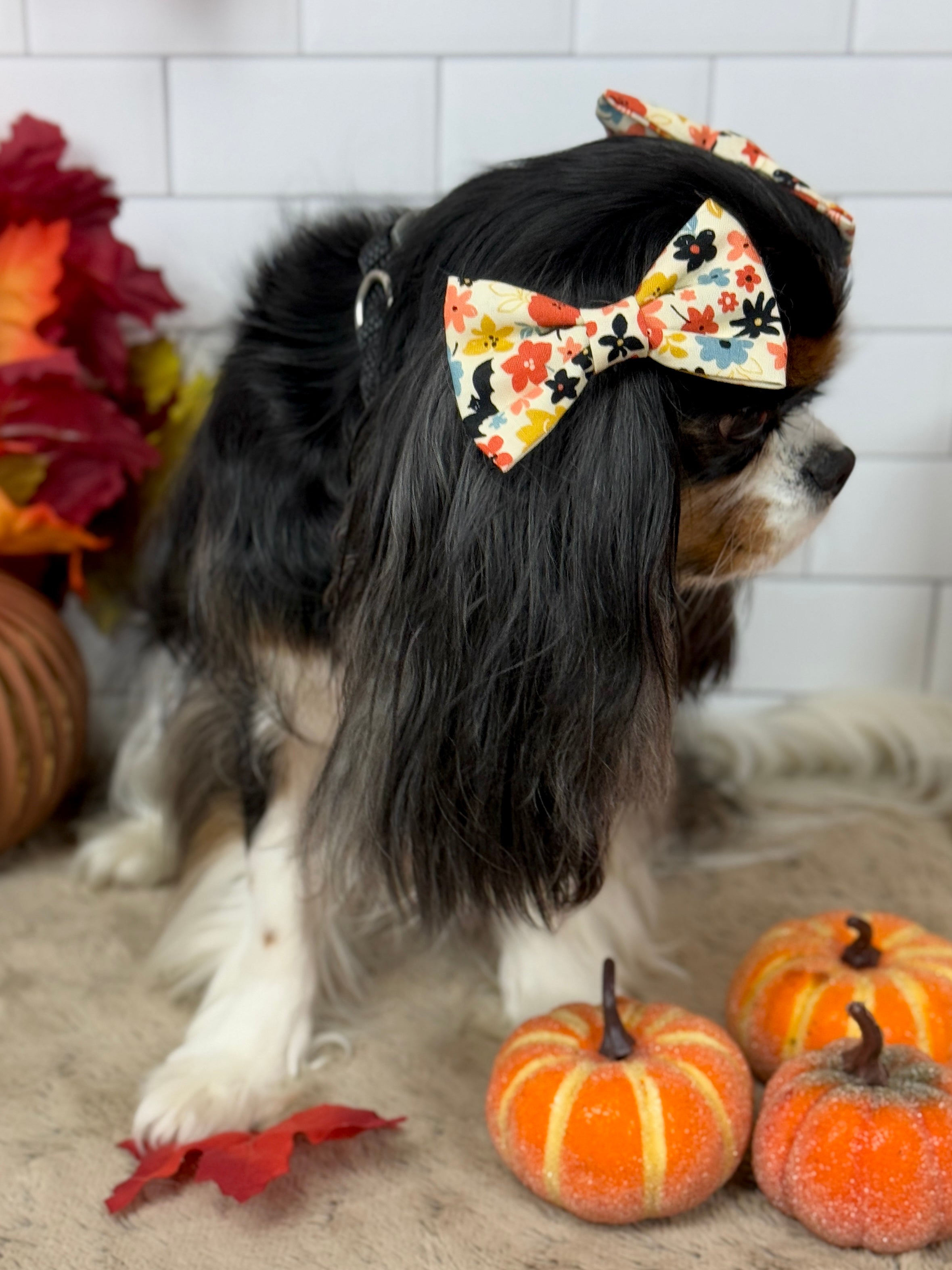 Accessories are a Must Hair Bows - Bats & Blooms or Pumpkin Sprinkles