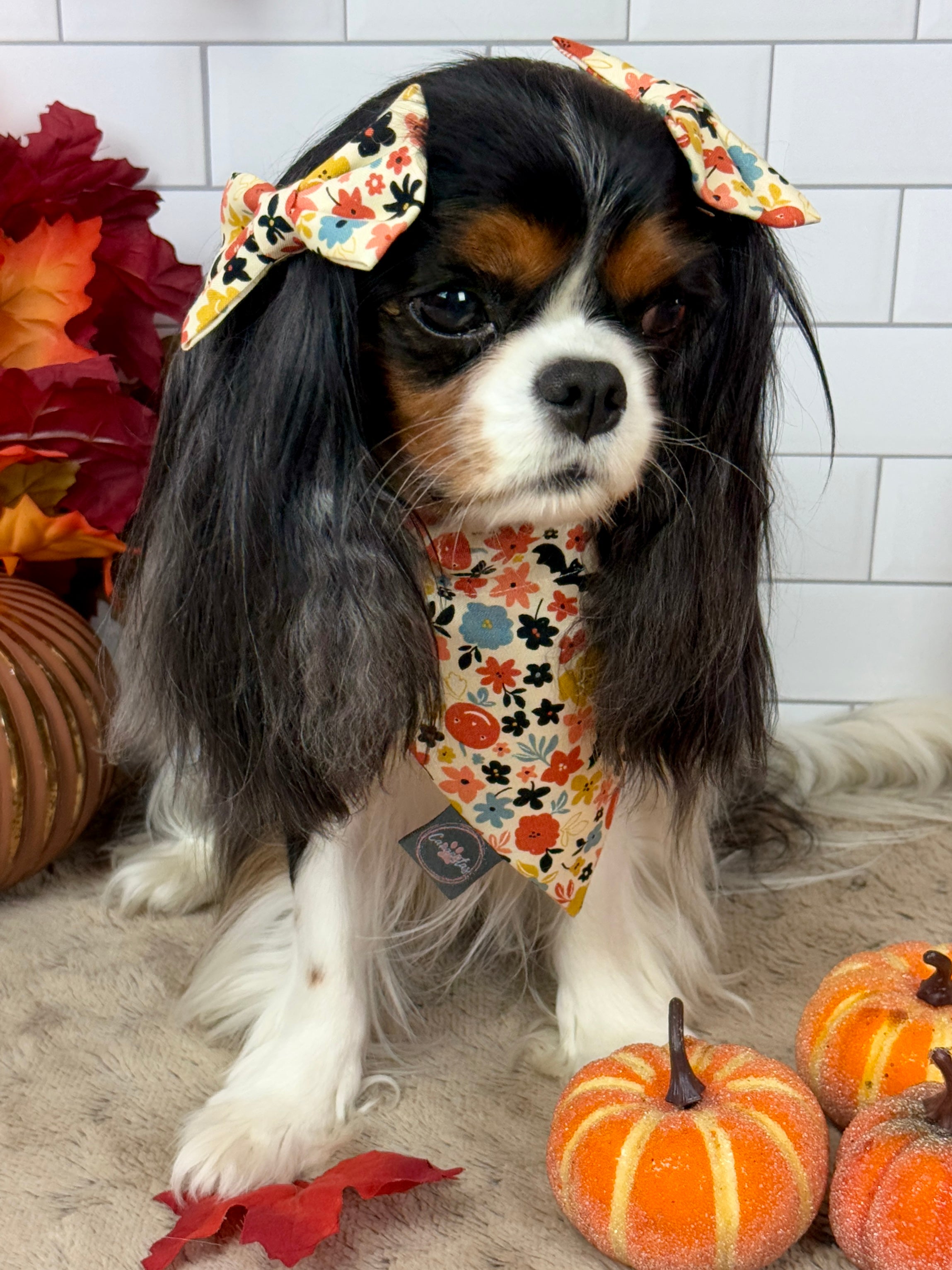 Accessories are a Must Hair Bows - Bats & Blooms or Pumpkin Sprinkles