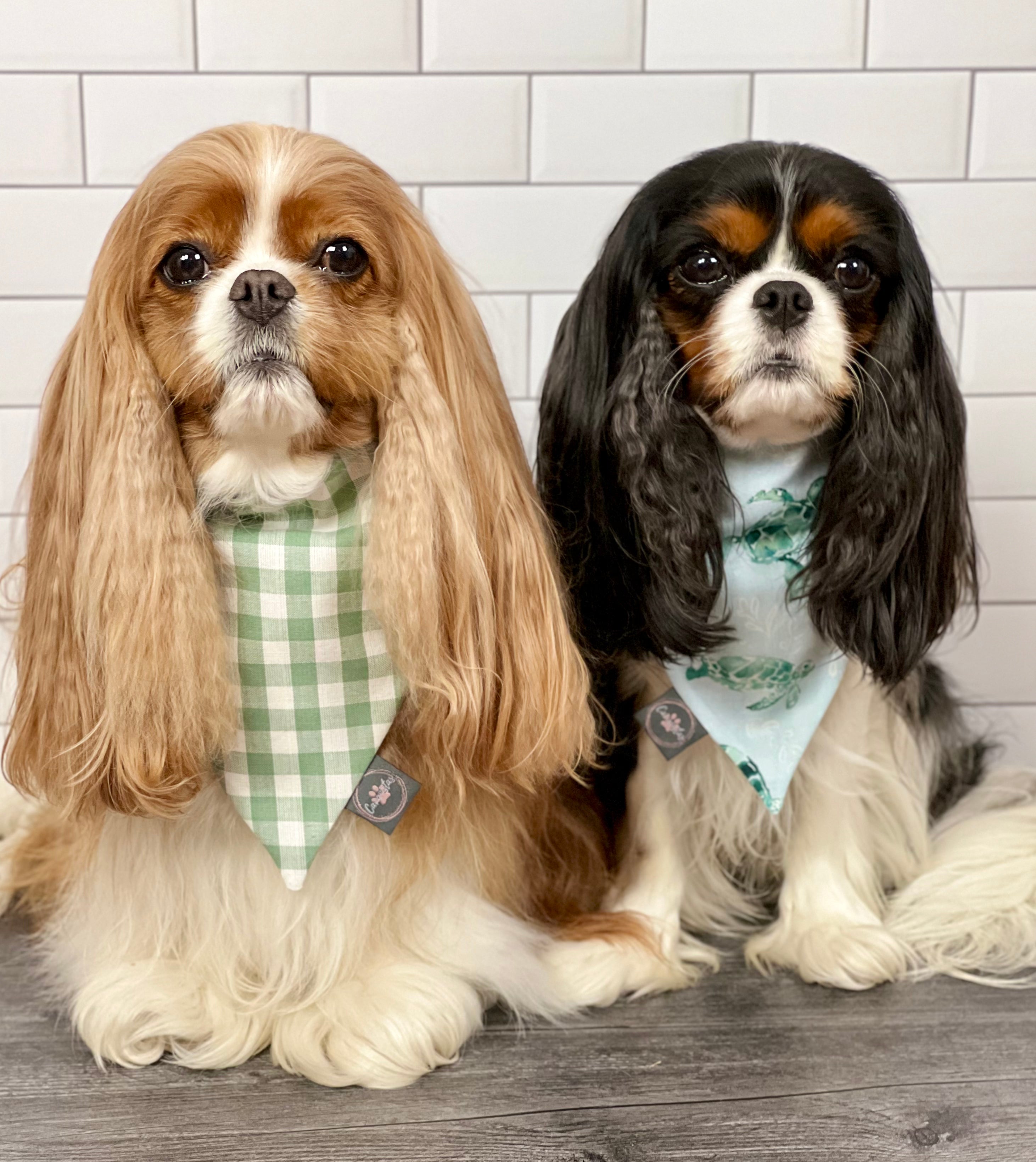 Intermission Wardrobe Change Reversible Bandana - Sea Turtles & Sage Gingham