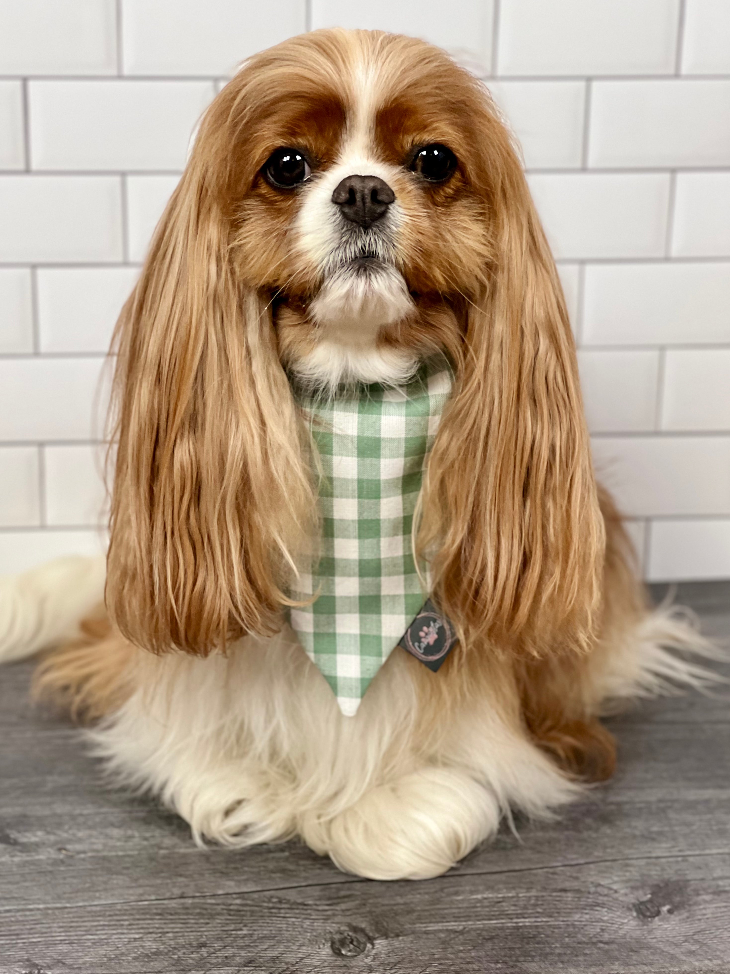 Intermission Wardrobe Change Reversible Bandana - Sea Turtles & Sage Gingham