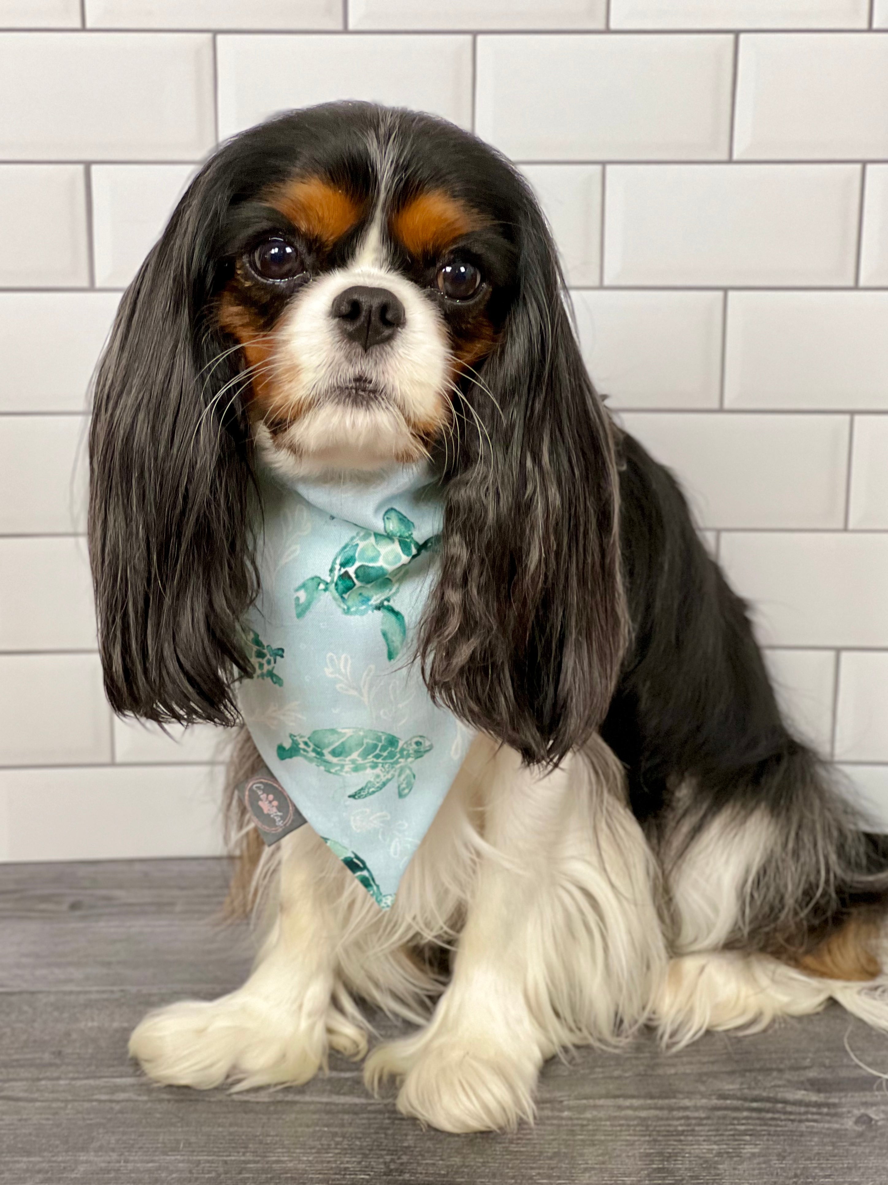 Intermission Wardrobe Change Reversible Bandana - Sea Turtles & Sage Gingham