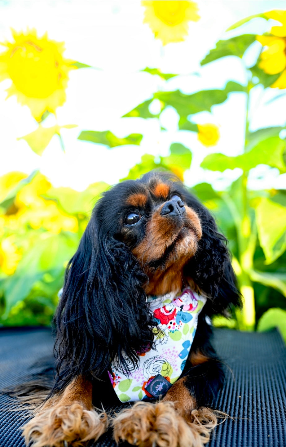 Intermission Wardrobe Change Reversible Bandana - Vibrant Garden