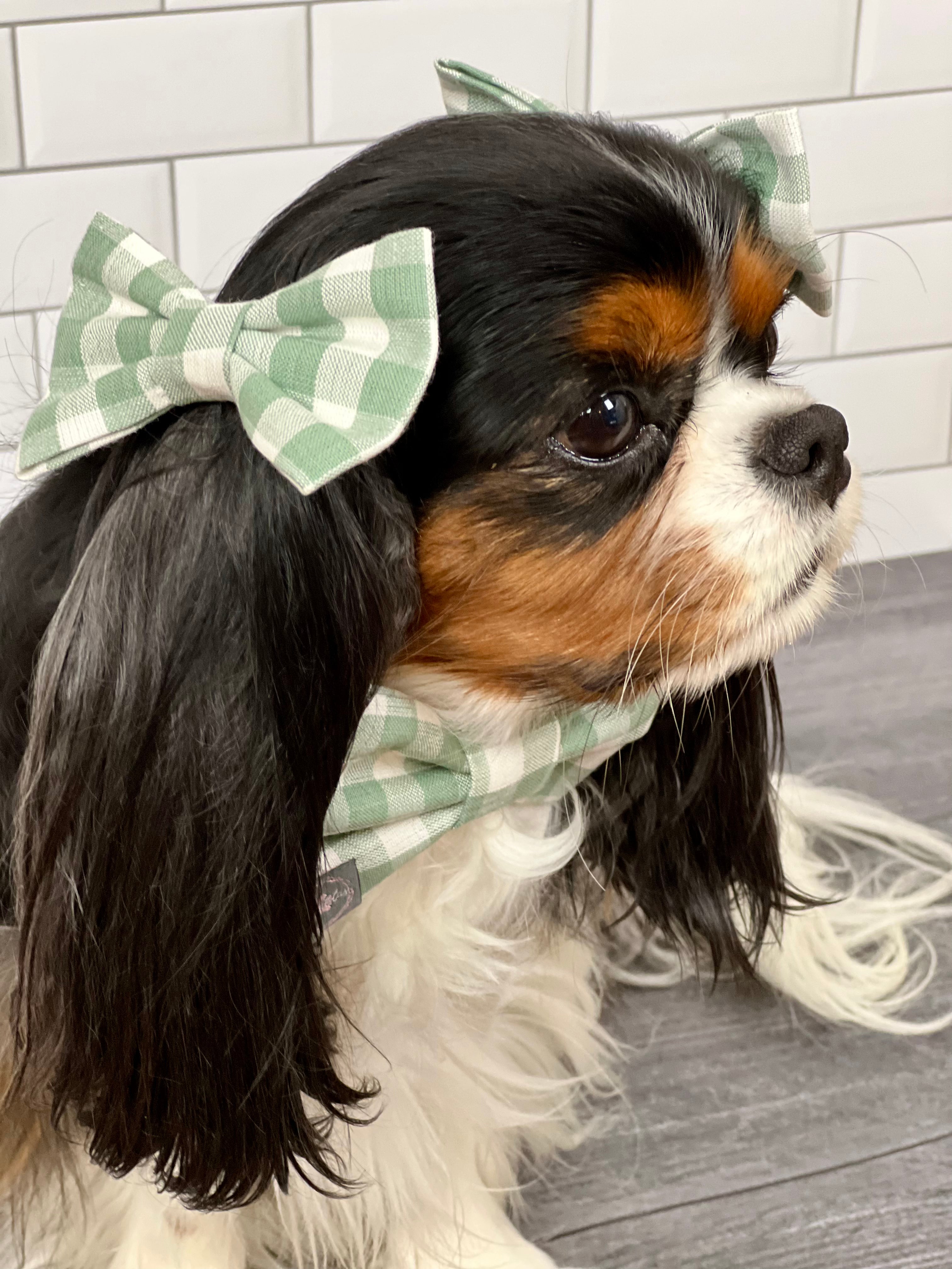 Accessories are a Must Hair Bows - Sage Gingham