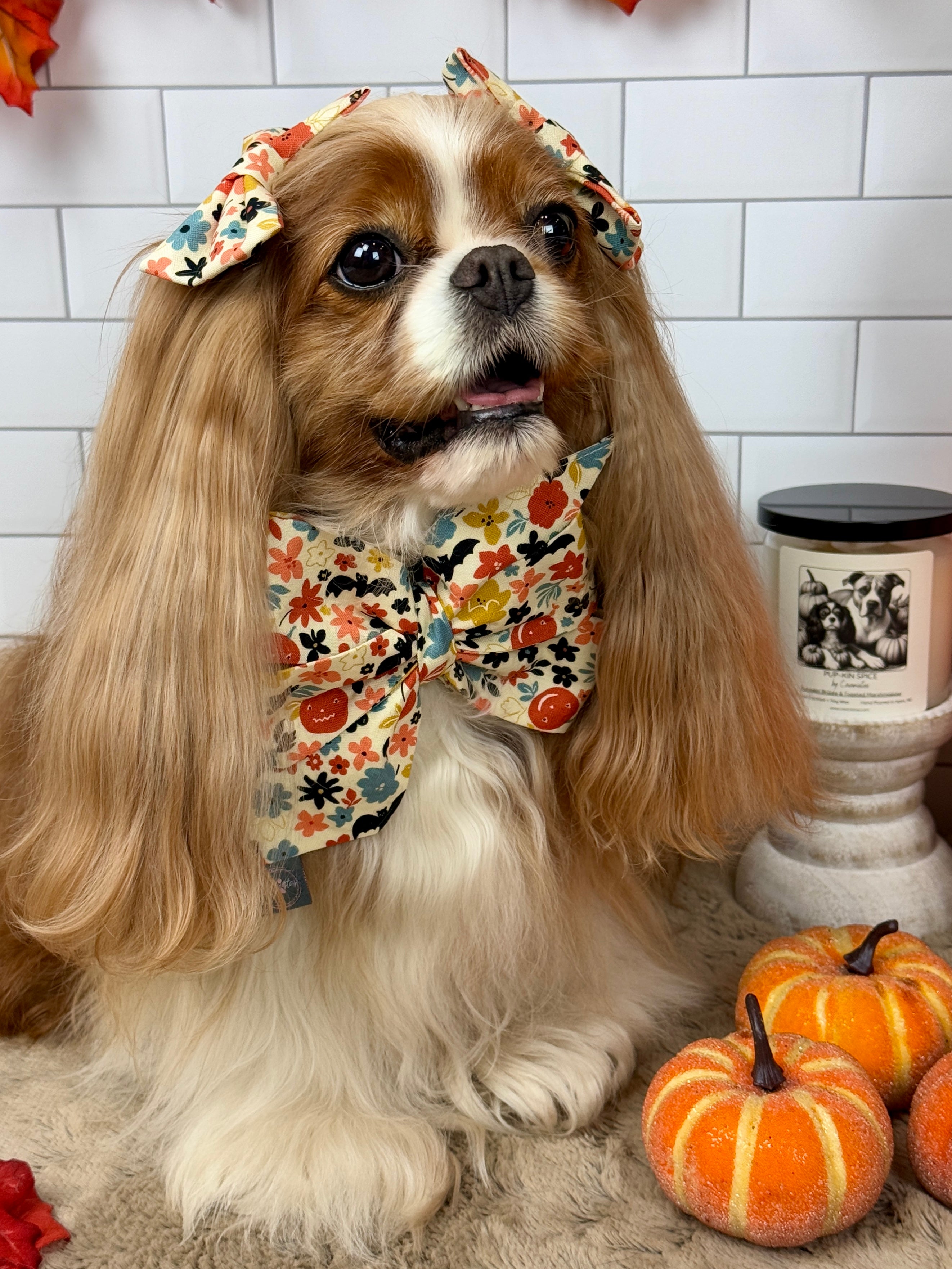 Strike a Pose Bow - Bats & Blooms or Pumpkin Sprinkles