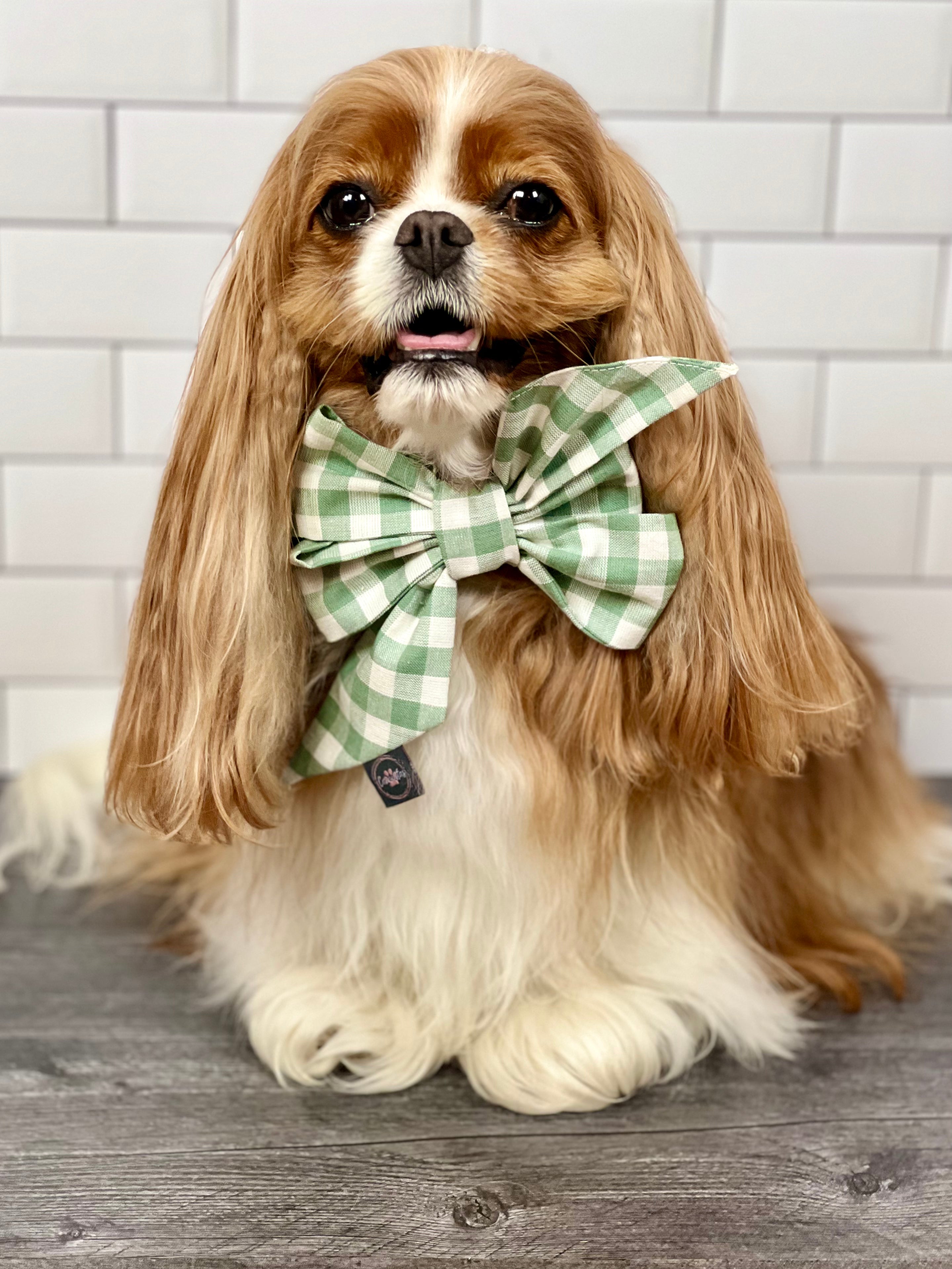 Strike a Pose Bow - Sage Gingham