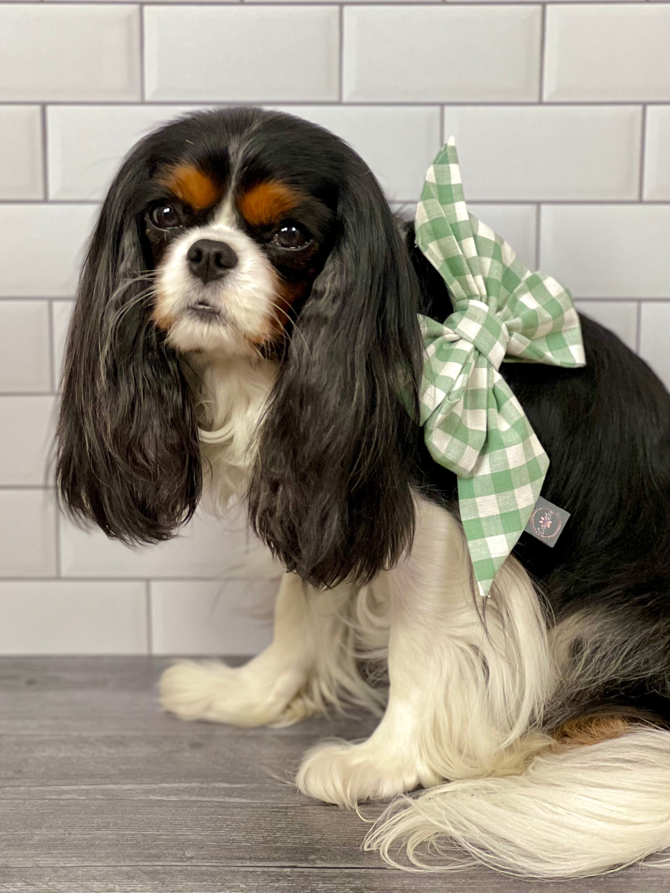 Strike a Pose Bow - Sage Gingham