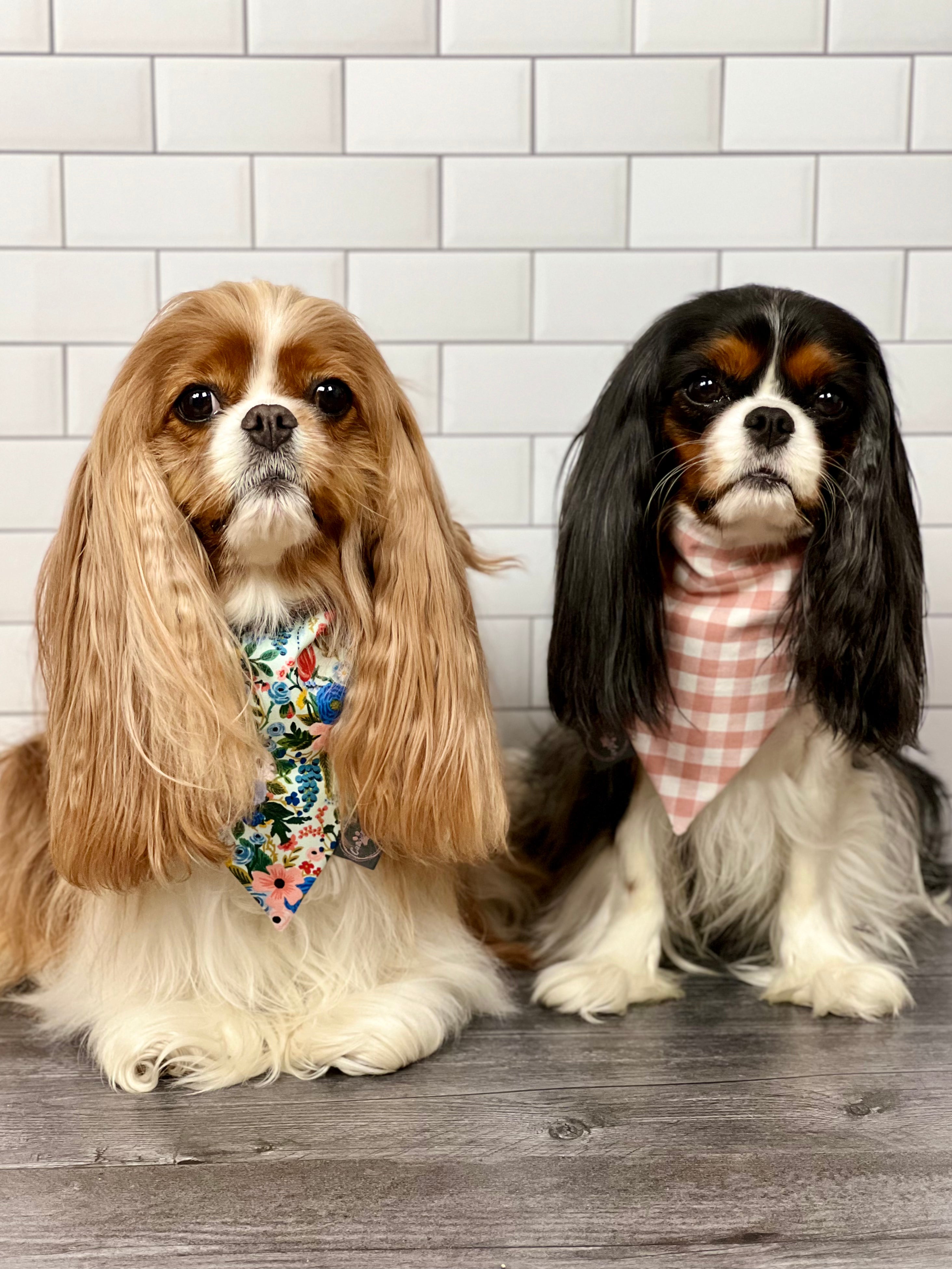 Interemission Wardrobe Change Reversible Bandana - Summer Botanicals & Rose Gingham