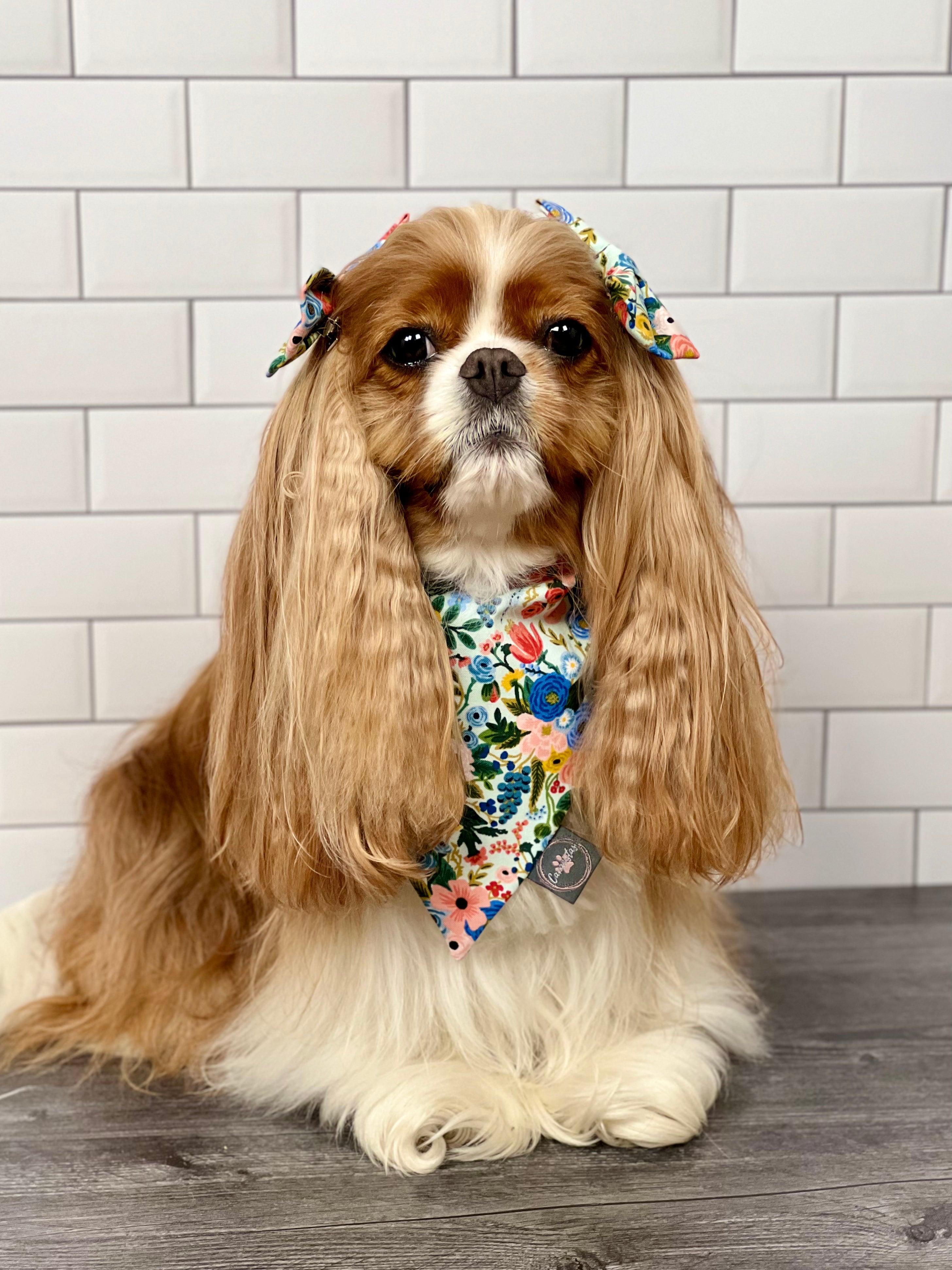 Interemission Wardrobe Change Reversible Bandana - Summer Botanicals & Rose Gingham