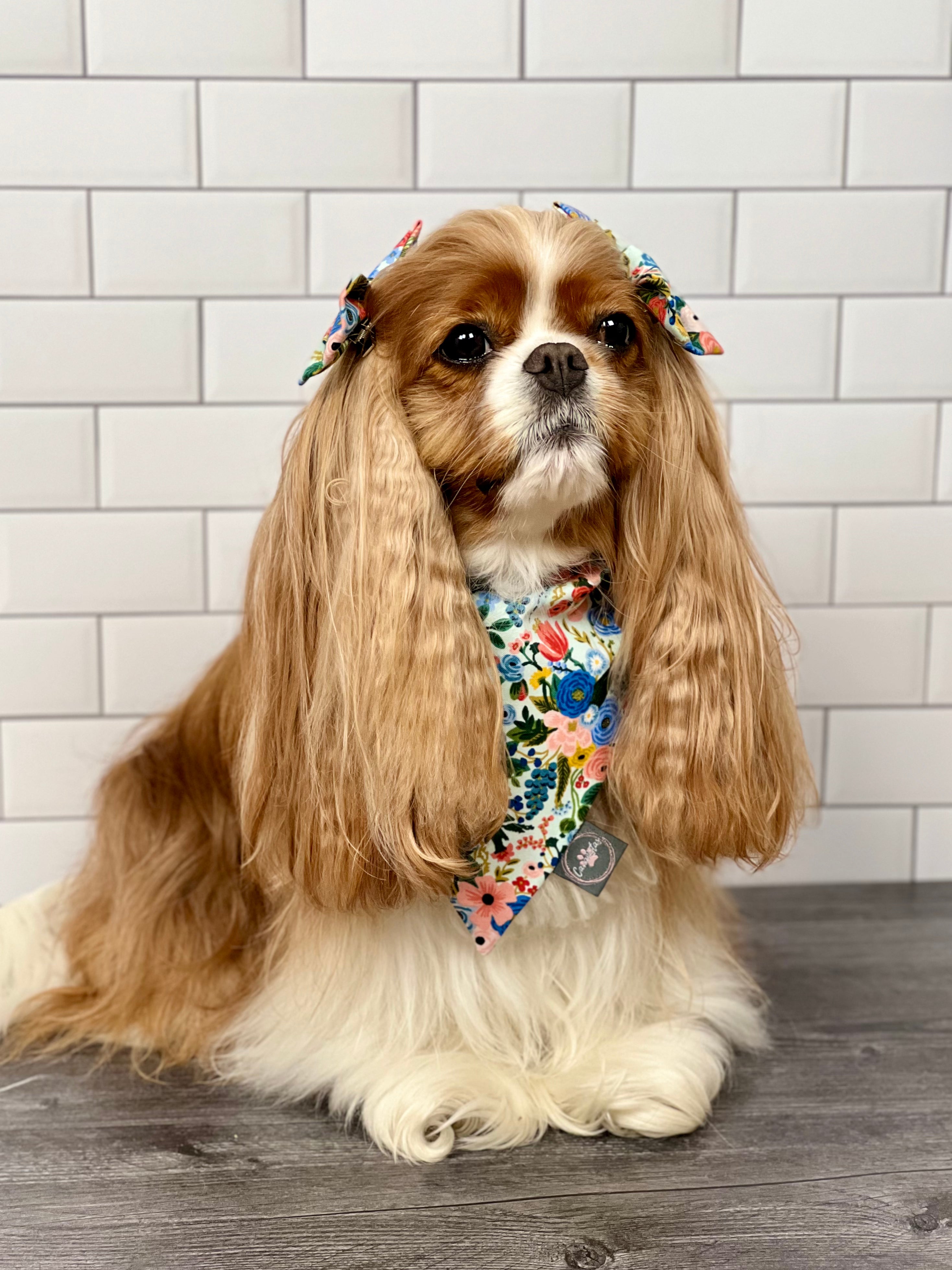 Interemission Wardrobe Change Reversible Bandana - Summer Botanicals & Rose Gingham