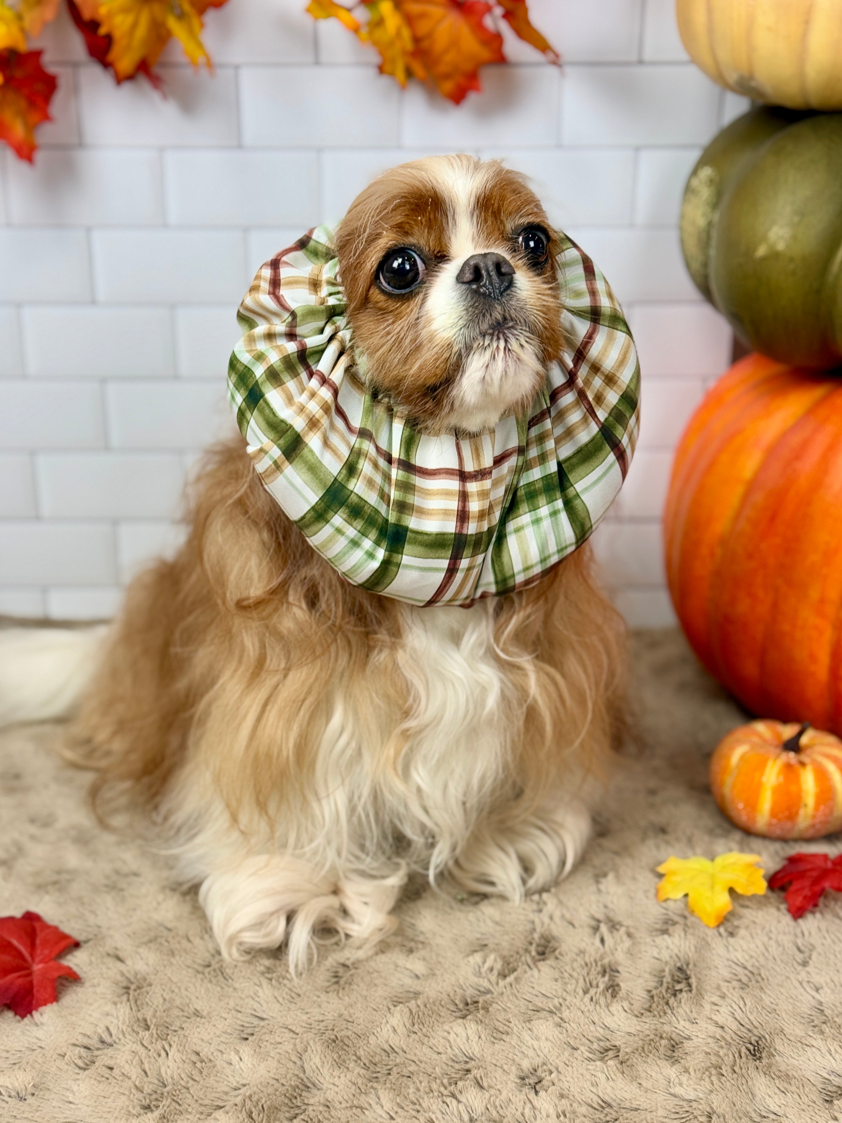 The Long Ear Struggles are Real Snood - Harvest Plaid