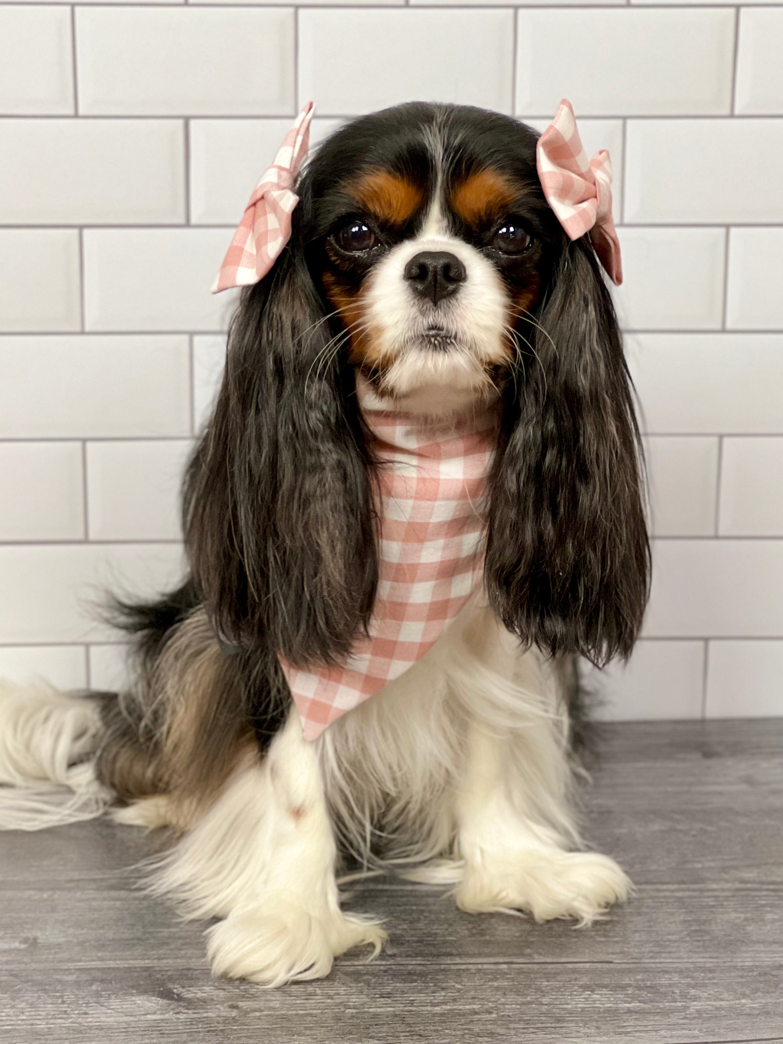 Interemission Wardrobe Change Reversible Bandana - Summer Botanicals & Rose Gingham