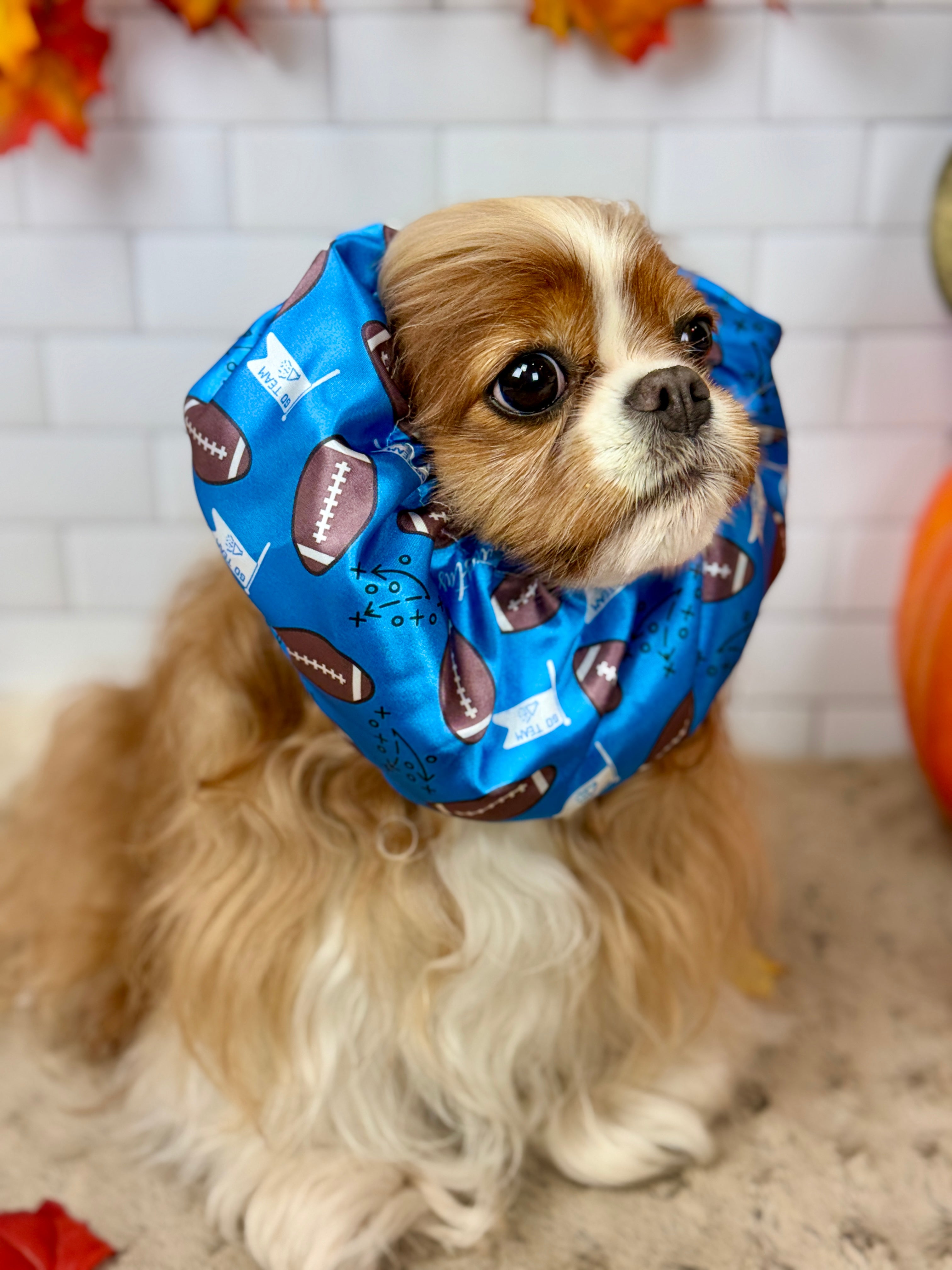 The Long-Ear Struggles are Real Snood - It's Football Time!