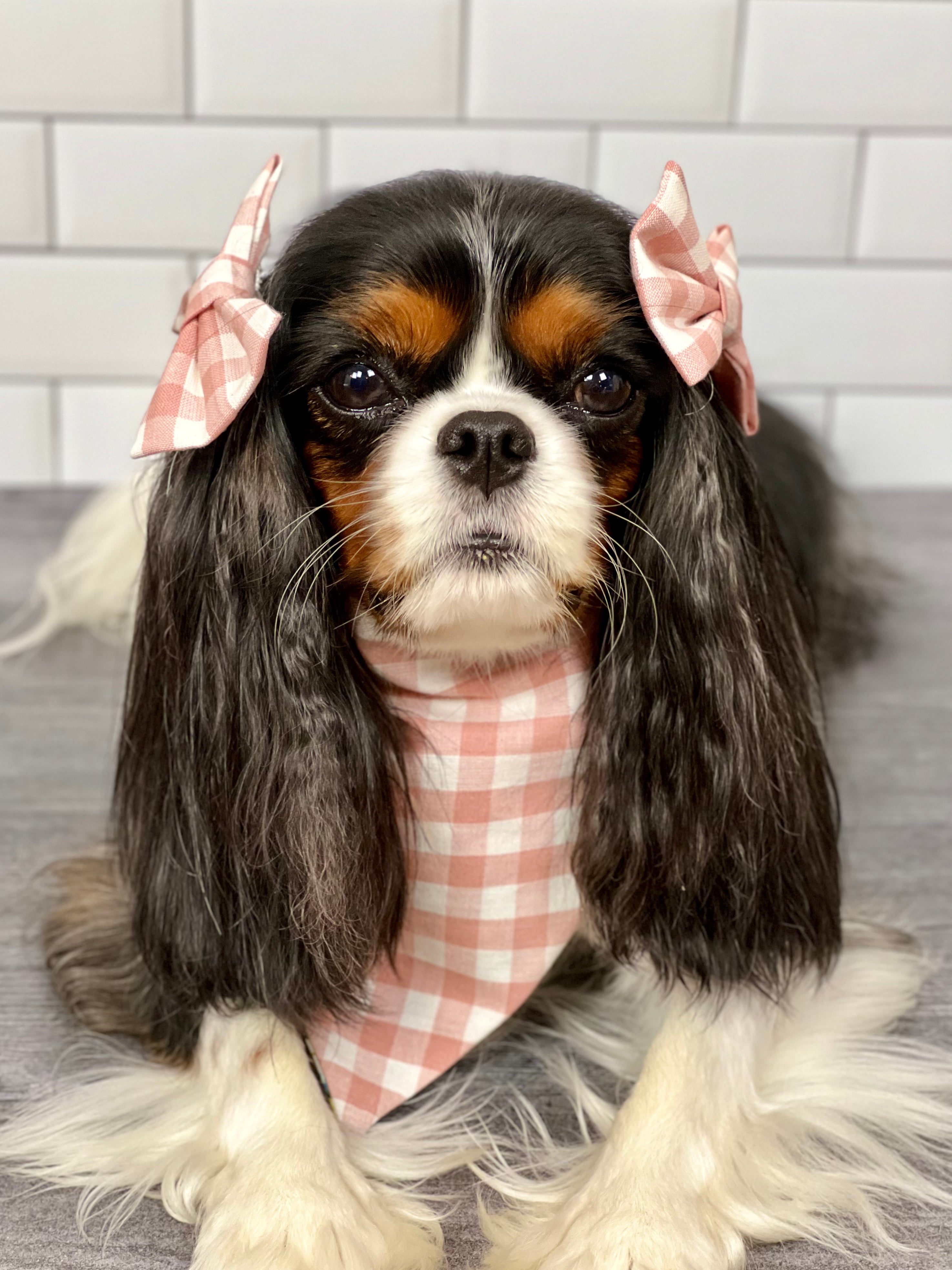 Interemission Wardrobe Change Reversible Bandana - Summer Botanicals & Rose Gingham