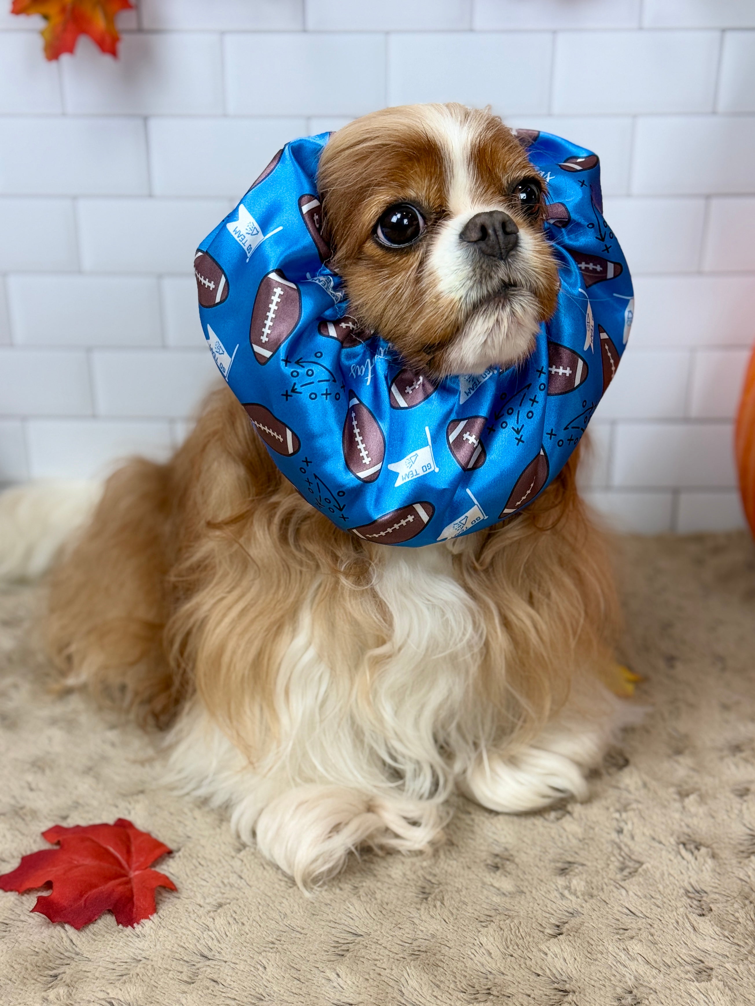 The Long-Ear Struggles are Real Snood - It's Football Time!