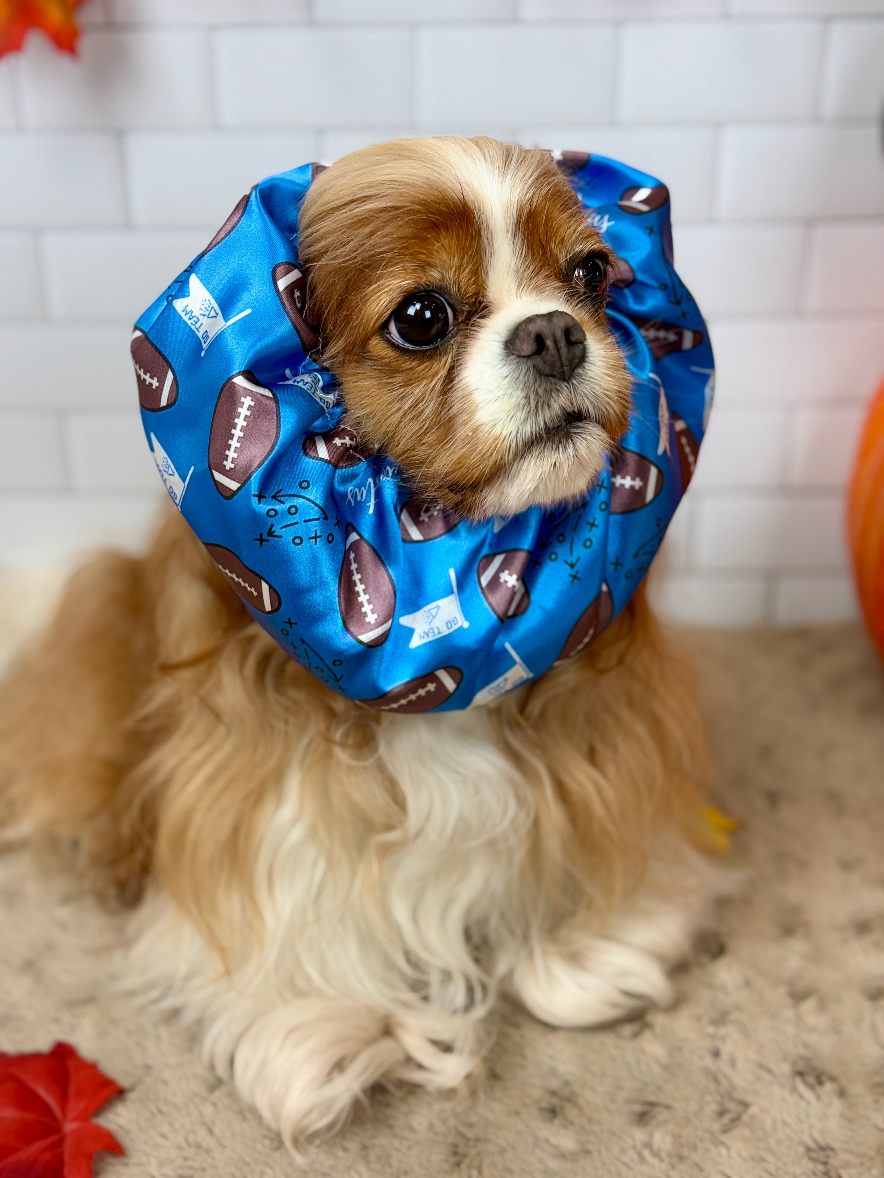 The Long-Ear Struggles are Real Snood - It's Football Time!