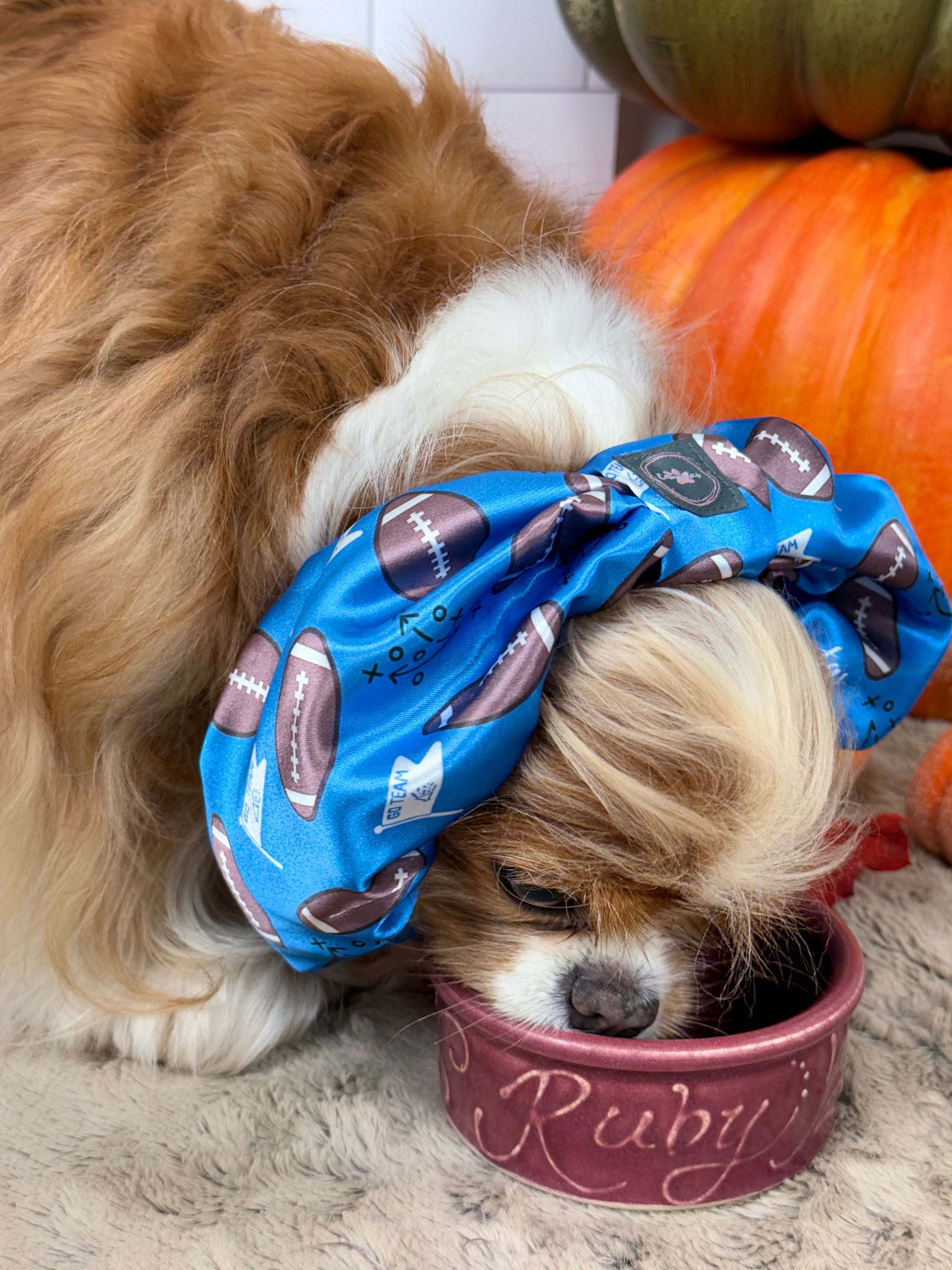 The Long-Ear Struggles are Real Snood - It's Football Time!