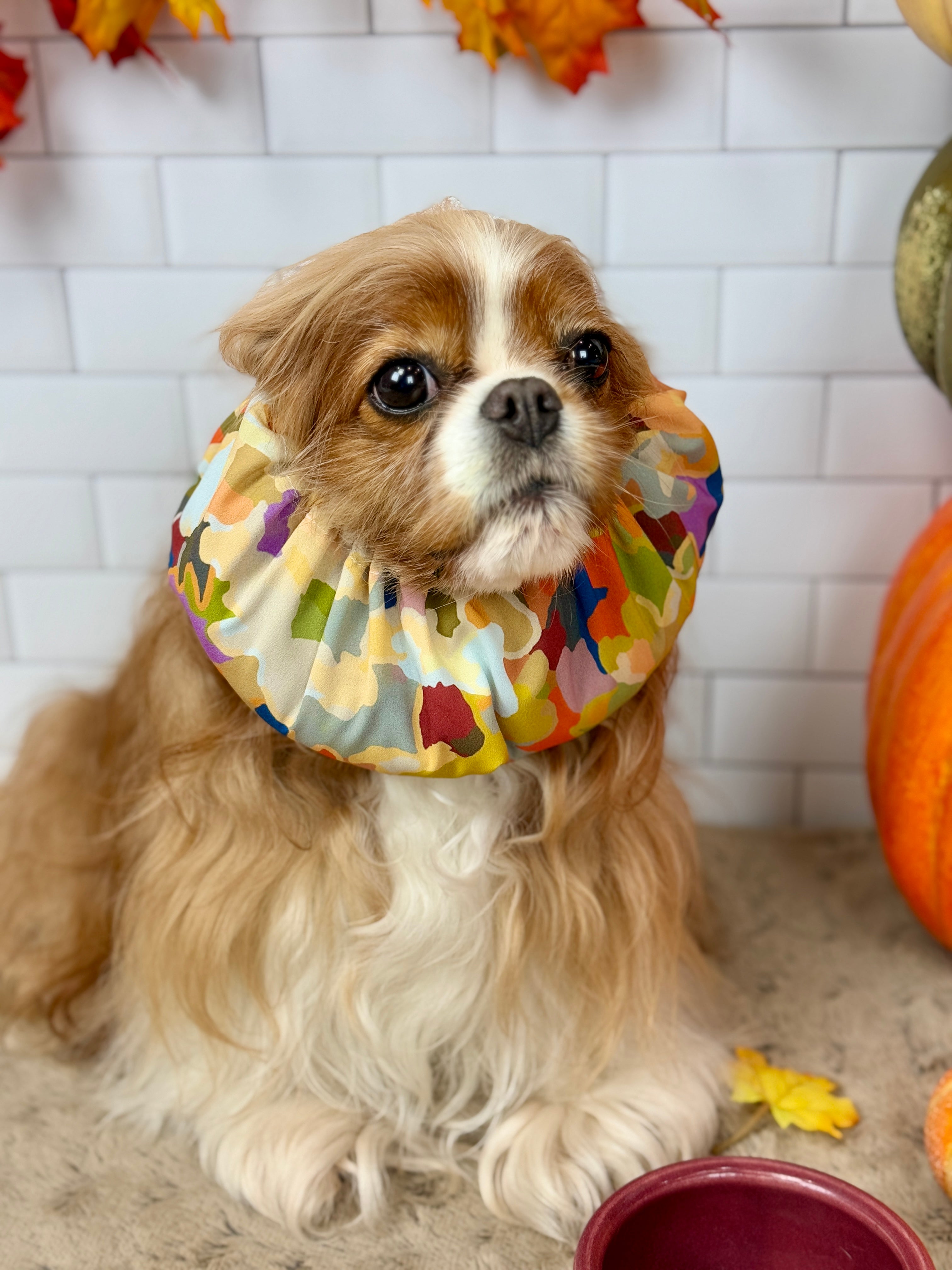 The Long Ear Struggles are Real Snood - Autumn in Bloom