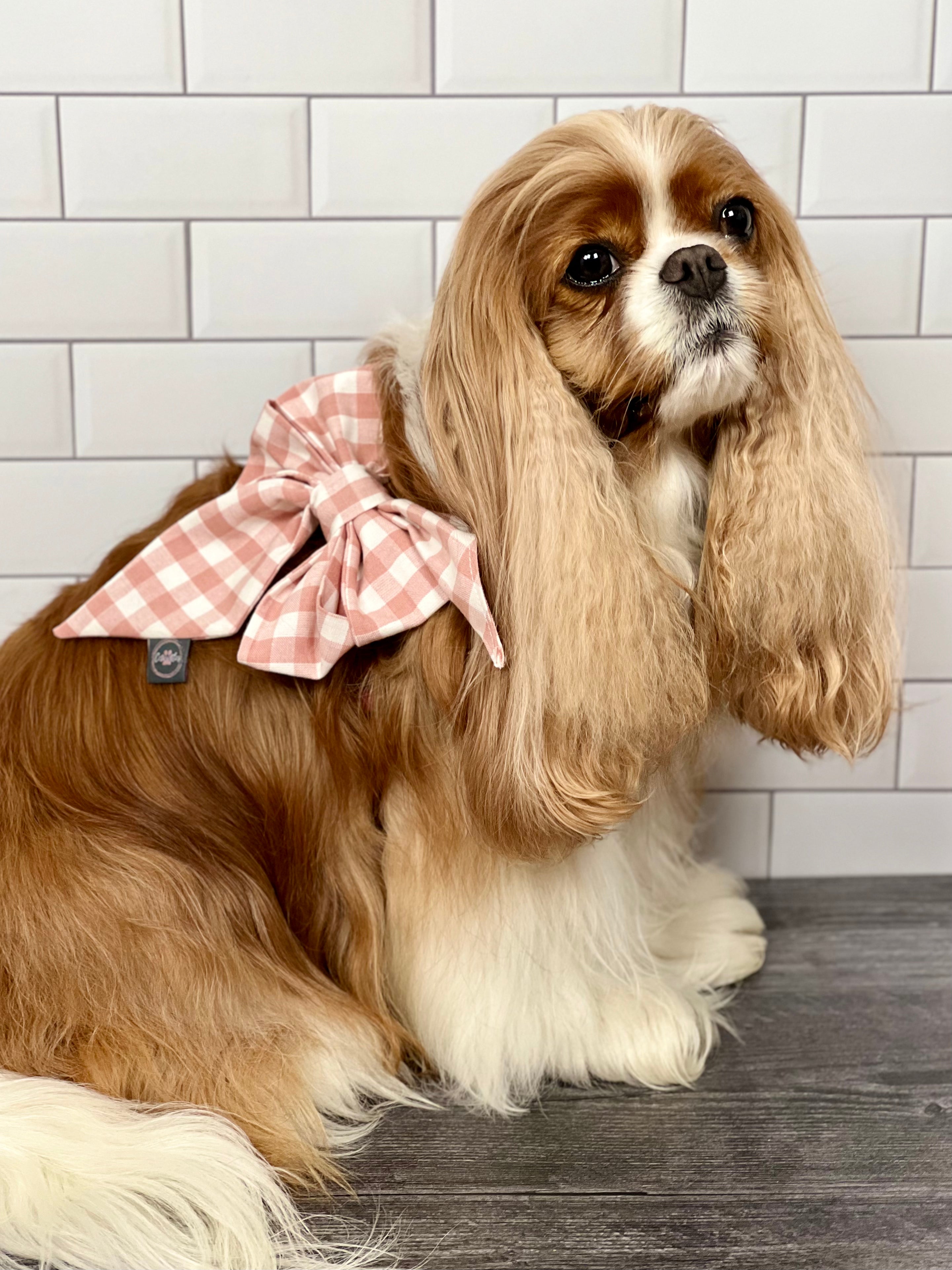 Strike a Pose Bow - Summer Botanicals & Rose Gingham