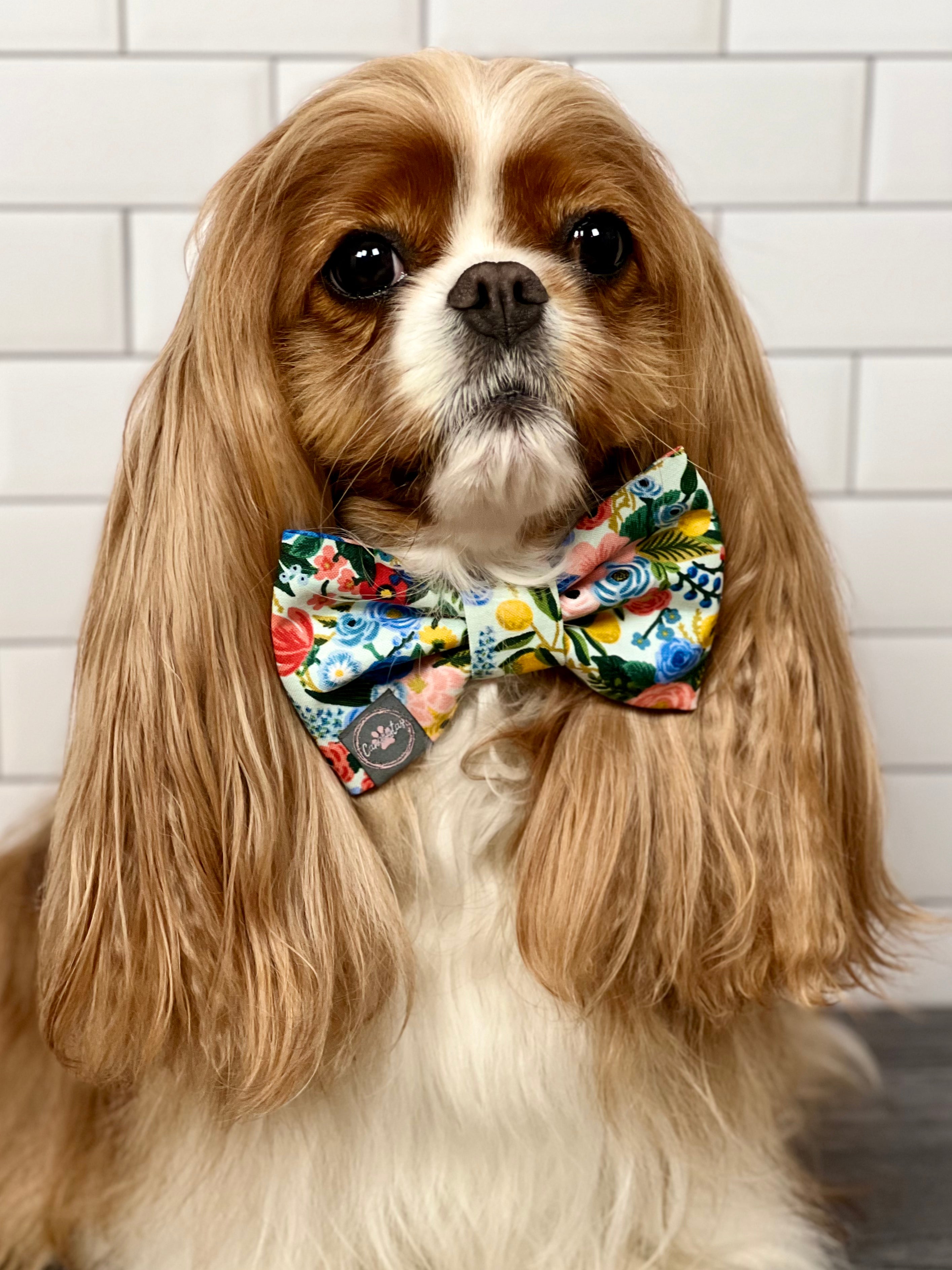 Dress to Impress Bow Tie - Summer Botanicals & Rose Gingham