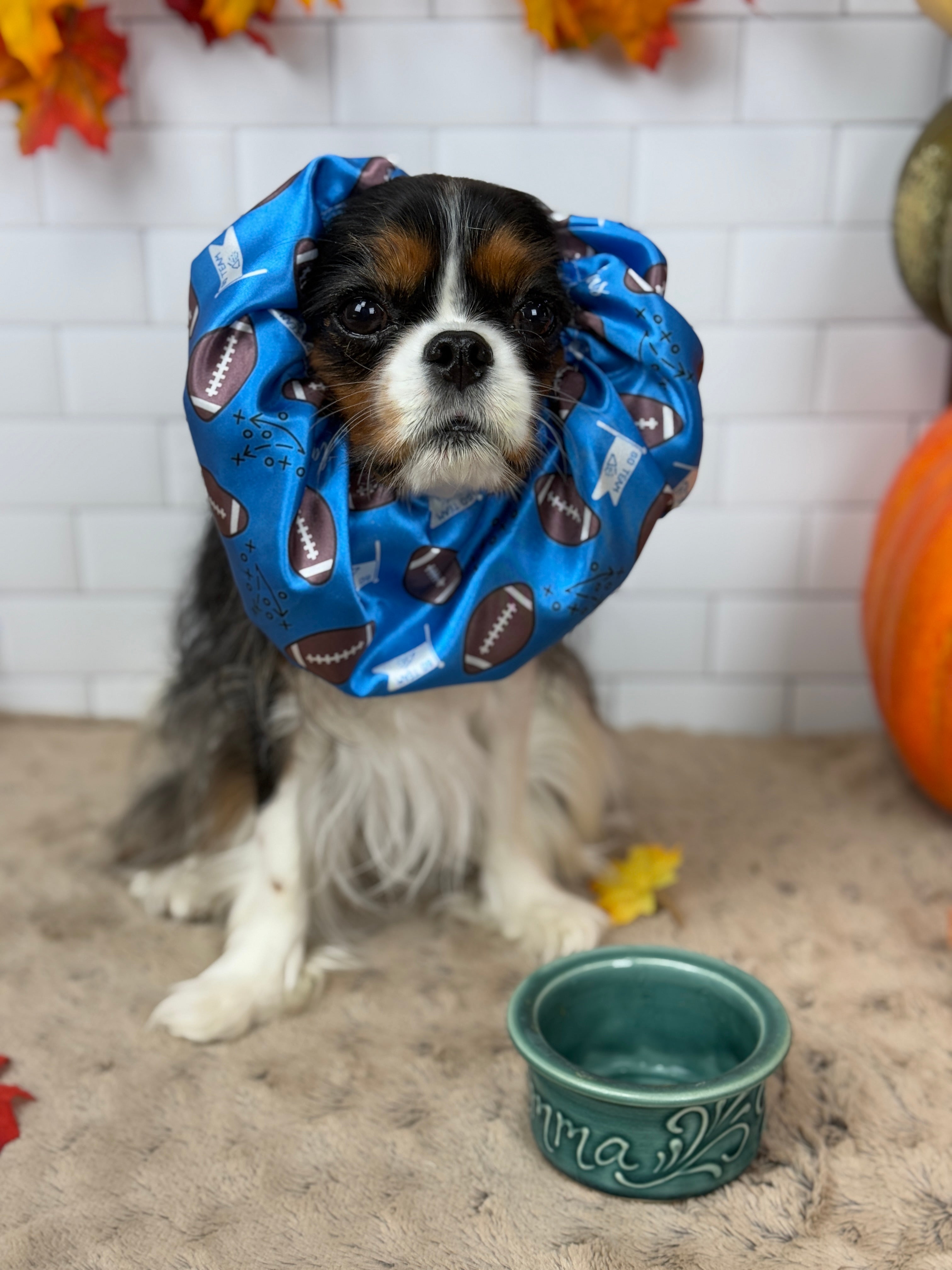 The Long-Ear Struggles are Real Snood - It's Football Time!