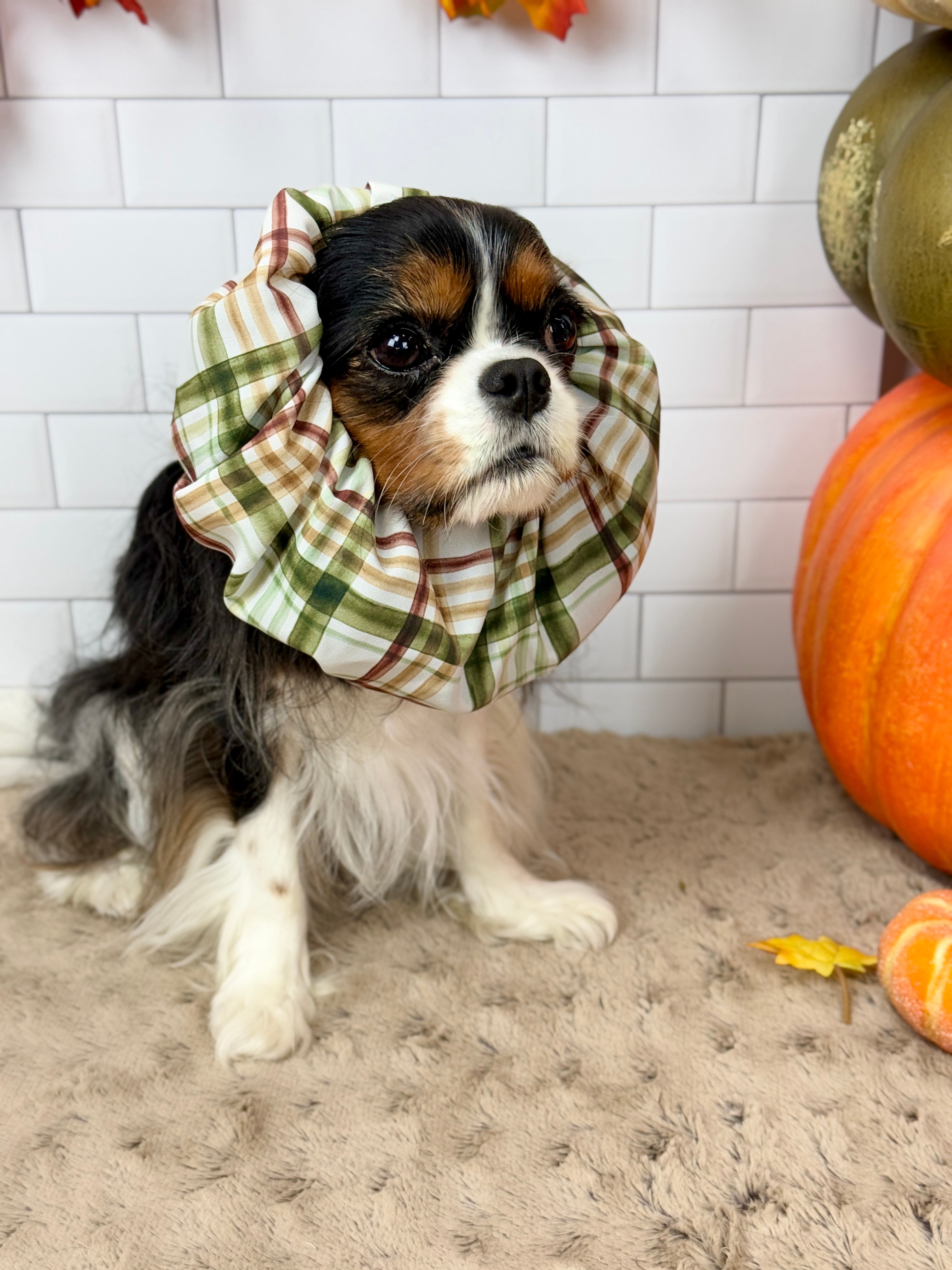 The Long Ear Struggles are Real Snood - Harvest Plaid