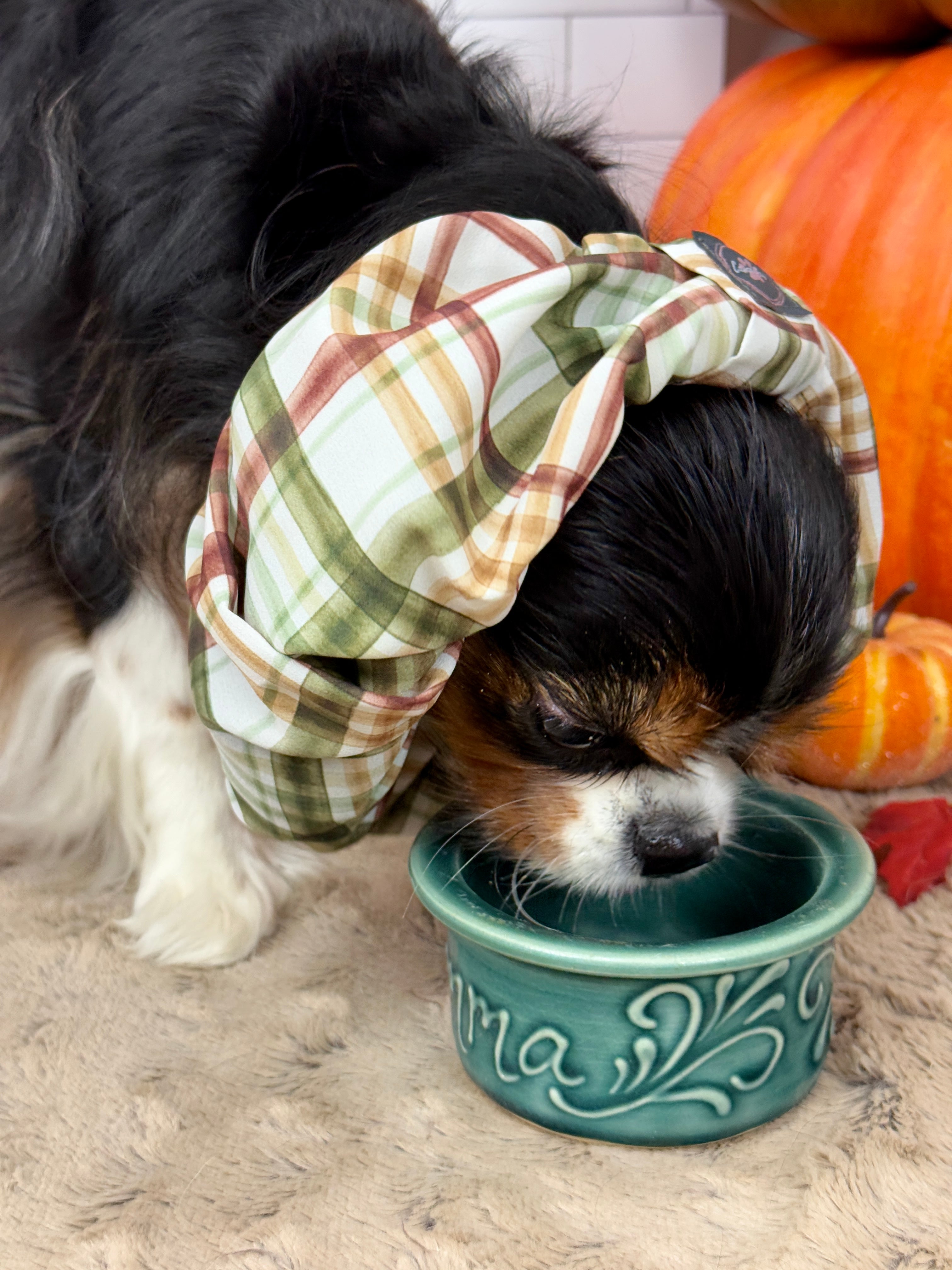 The Long Ear Struggles are Real Snood - Harvest Plaid