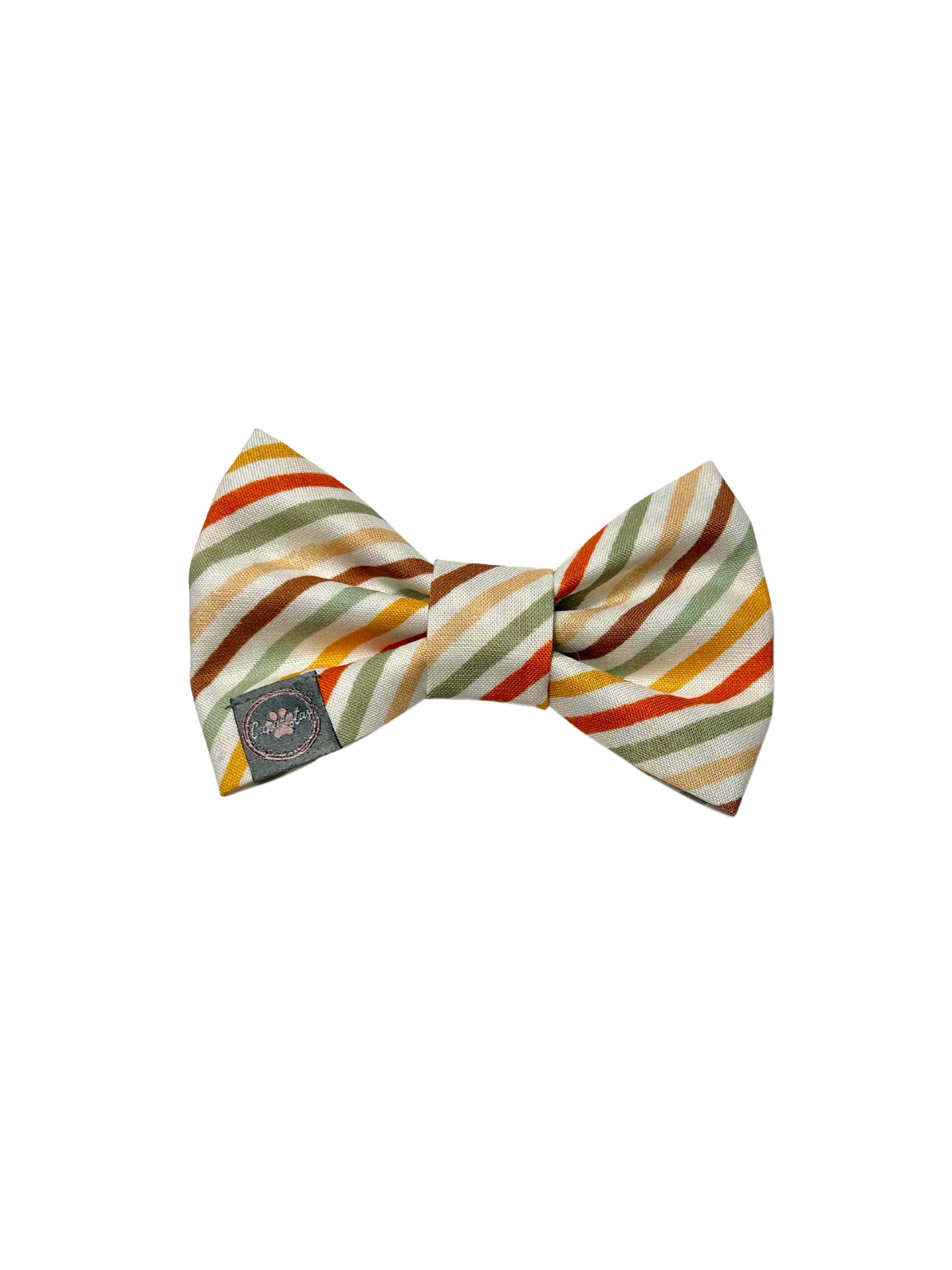 Dress to Impress Bow Tie - Fall Foliage & Fall Stripes