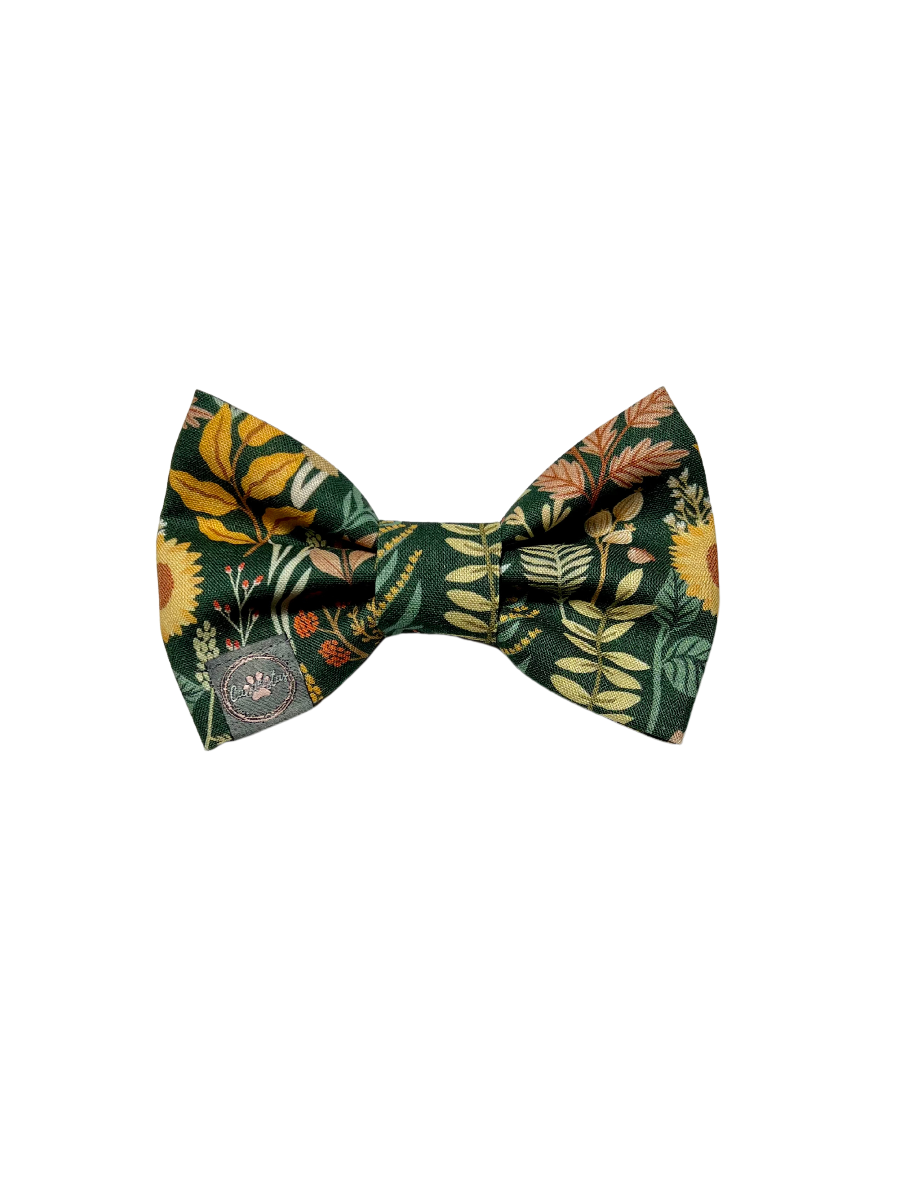 Dress to Impress Bow Tie - Fall Foliage & Fall Stripes