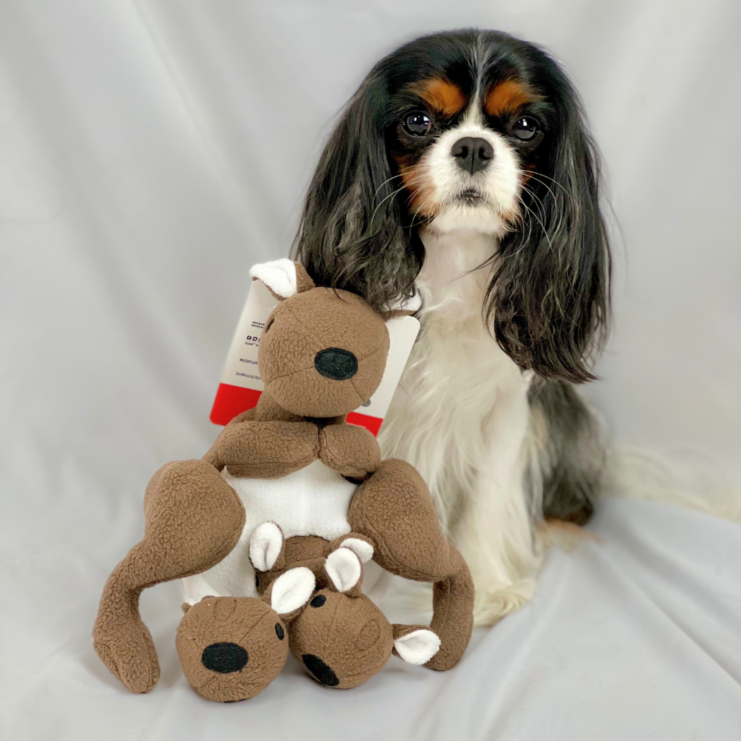 Joey Pouch Snuffle Toy