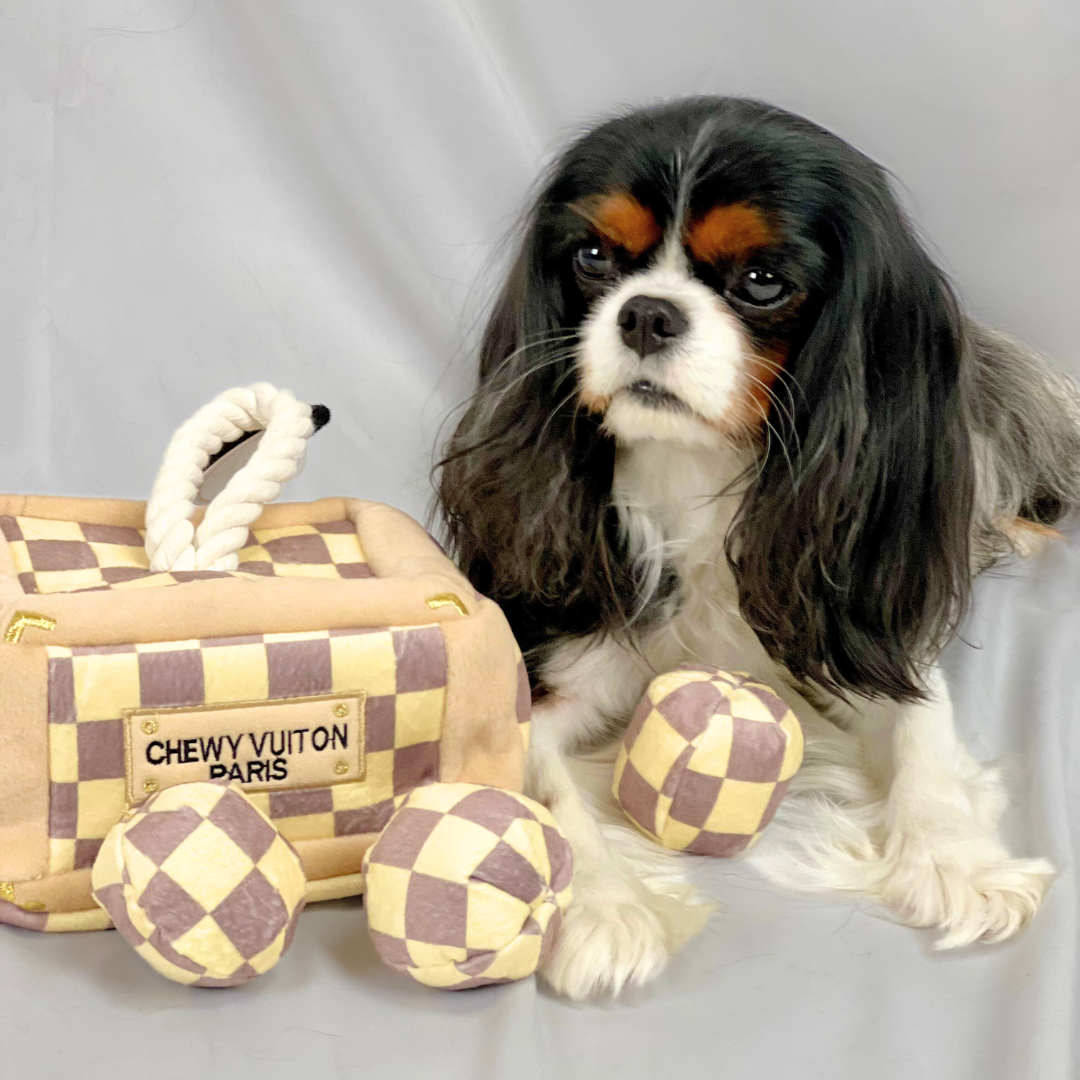 Checker Chewy Vuiton Trunk - Activity House Burrow Dog Toy