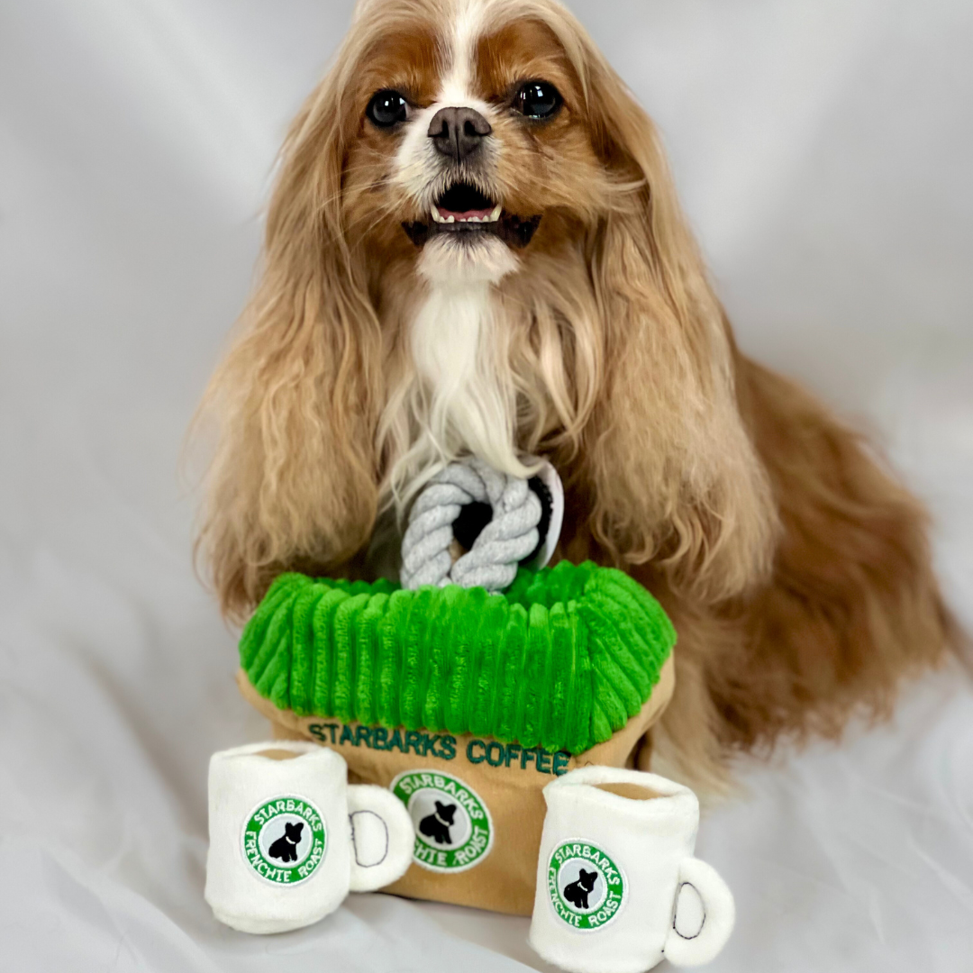 Starbarks Coffee House Burrow Dog Toy